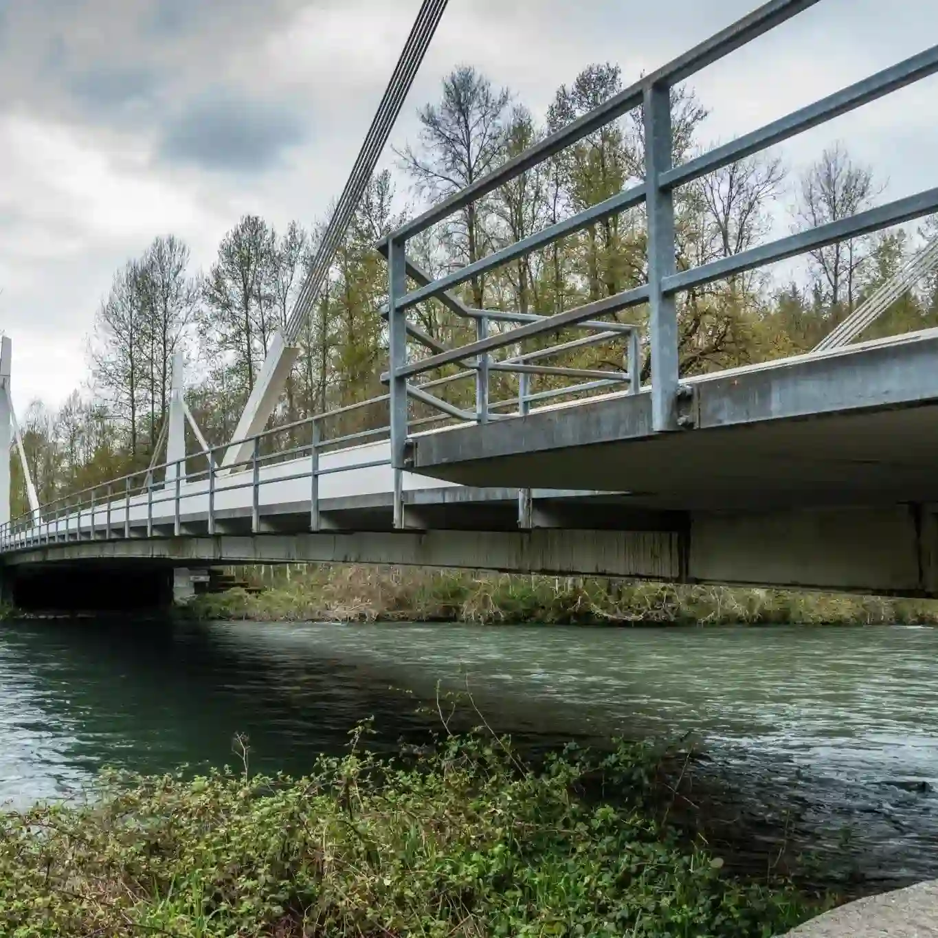Flaming Geyser State Park SVL