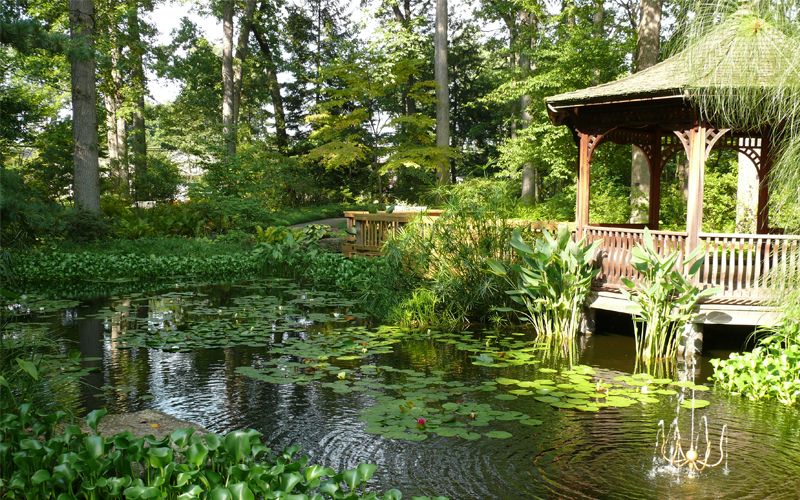 Toledo Botanical Garden SVL