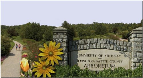 Lexington Arboretum SVL