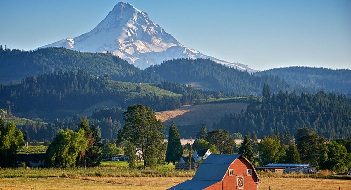 The Best Neighborhoods in Gresham SVL