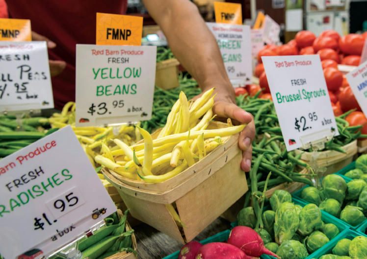Allentown Farmers Market SVL