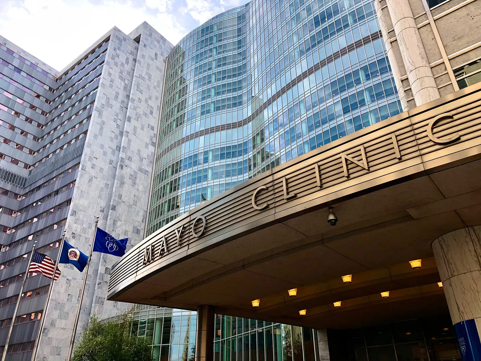 Mayo Clinic SVL