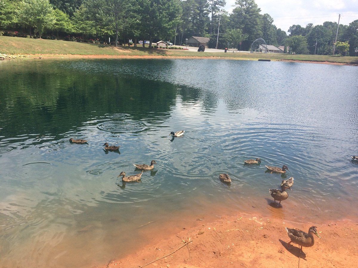 Dublin Park (Regional Park) SVL