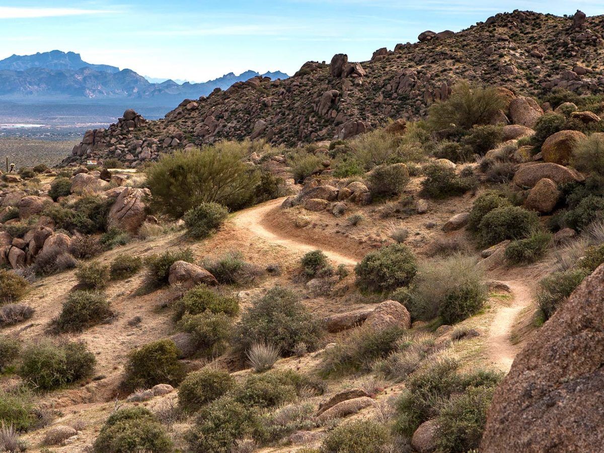 McDowell Sonoran Preserve SVL