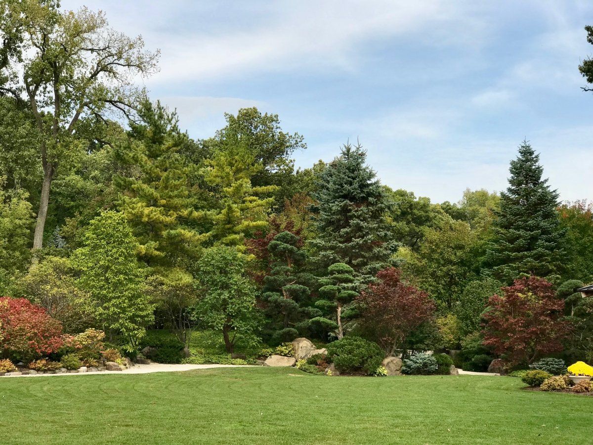 Rock Cut State Park SVL