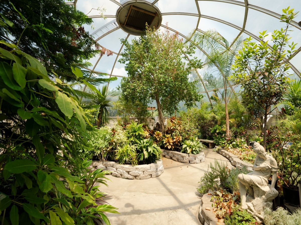 Henson Robinson Zoo SVL