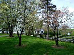 Chrisman Mill Vineyards & Winery SVL