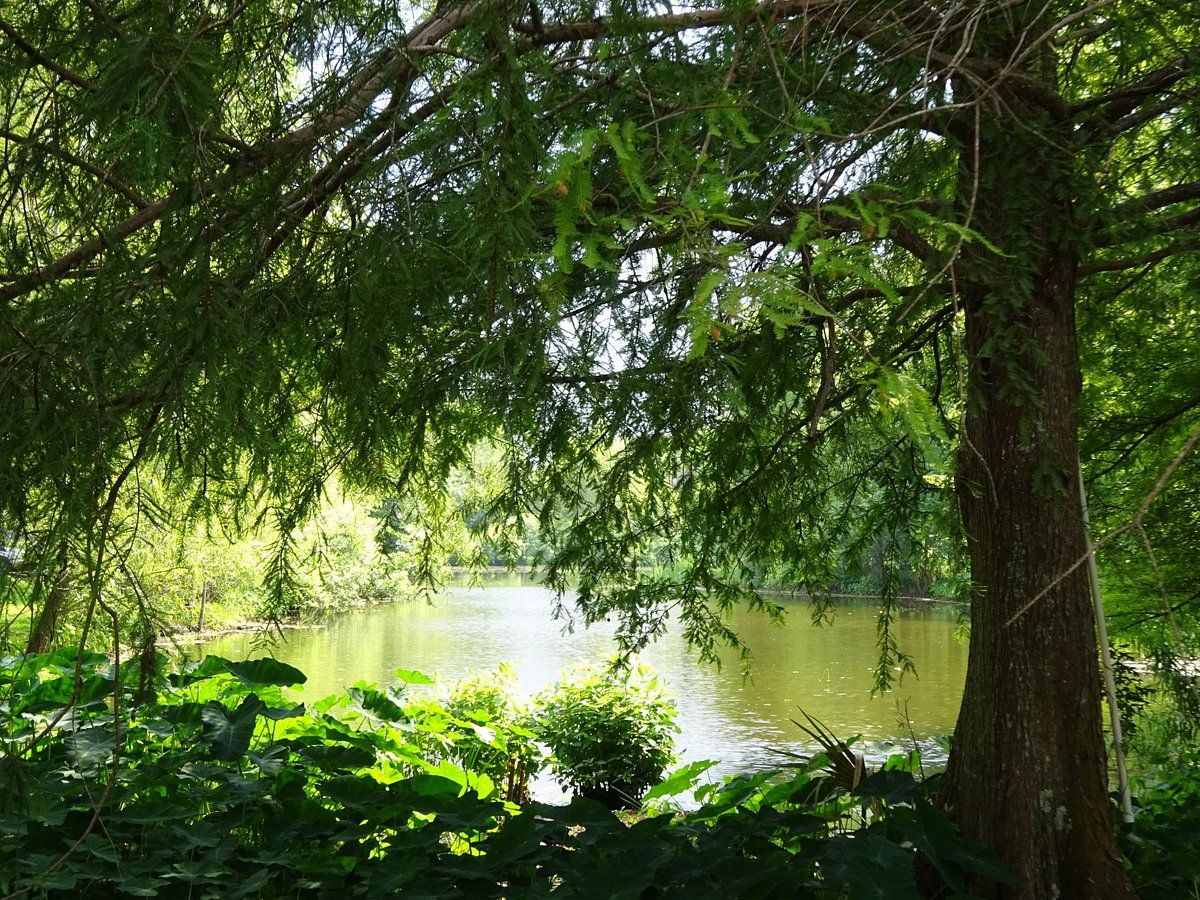 Vermilionville Historic Village SVL