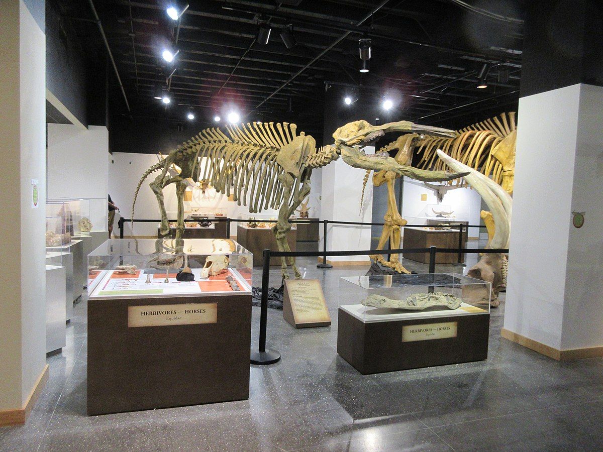 Lafayette Science Museum SVL