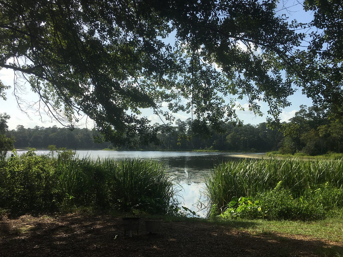 Indian Creek Recreation Area SVL