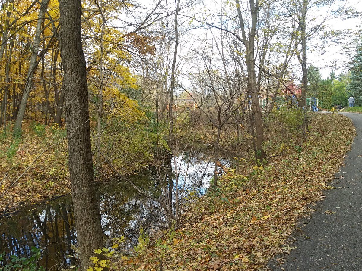 Elm Creek Park Reserve SVL