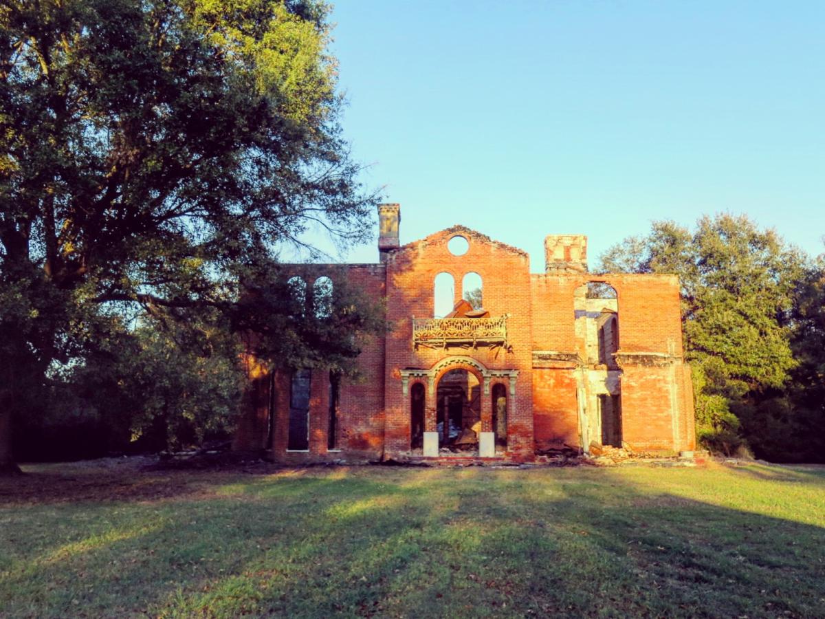 Greenville Cypress Preserve SVL