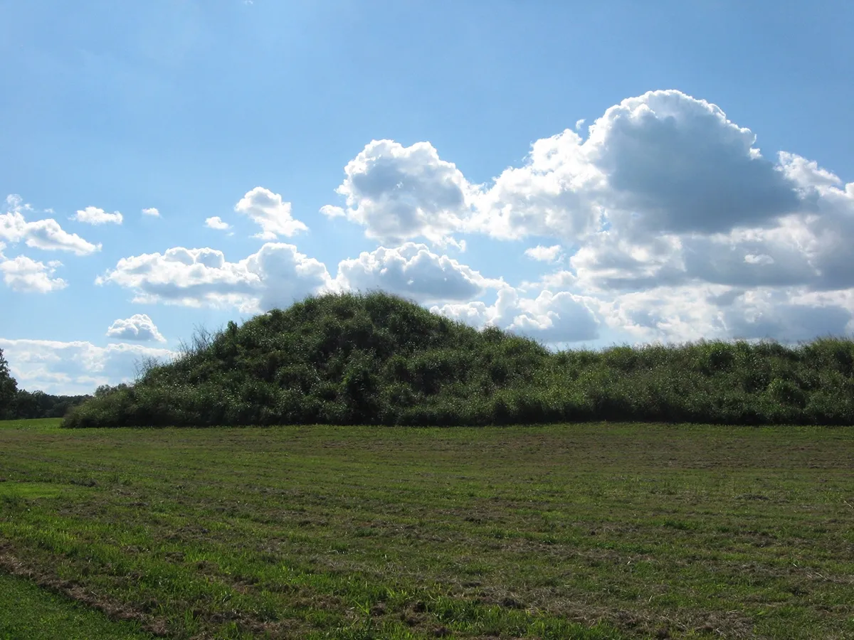 Winterville Mounds Historic Site SVL