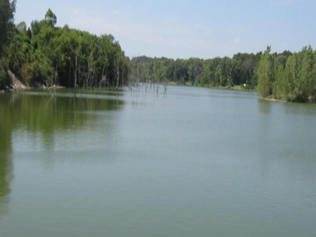 Nationwide Moving Guides For Anywhere in America SVL