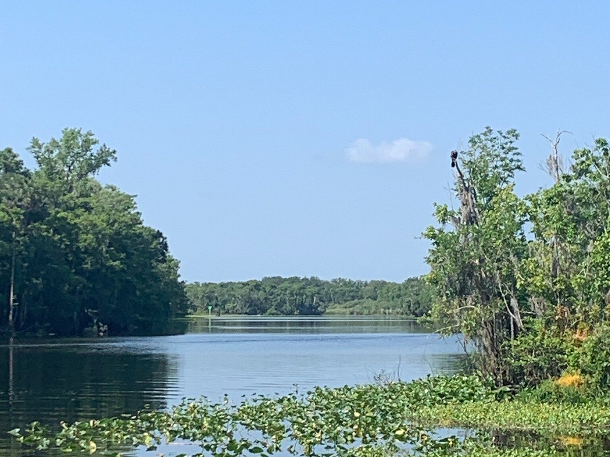 Blue Springs Lake Marina SVL