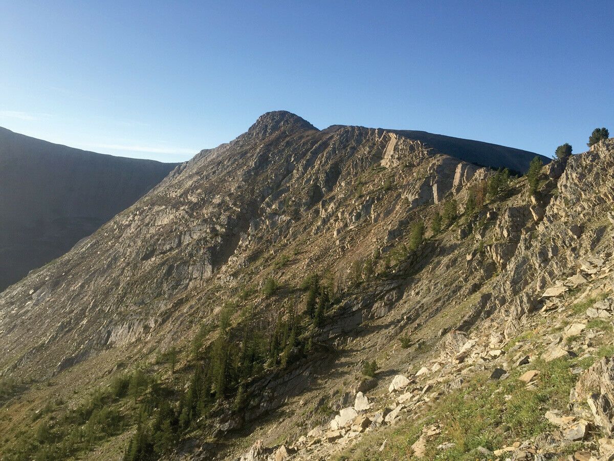 Nationwide Moving Guides For Anywhere in America SVL