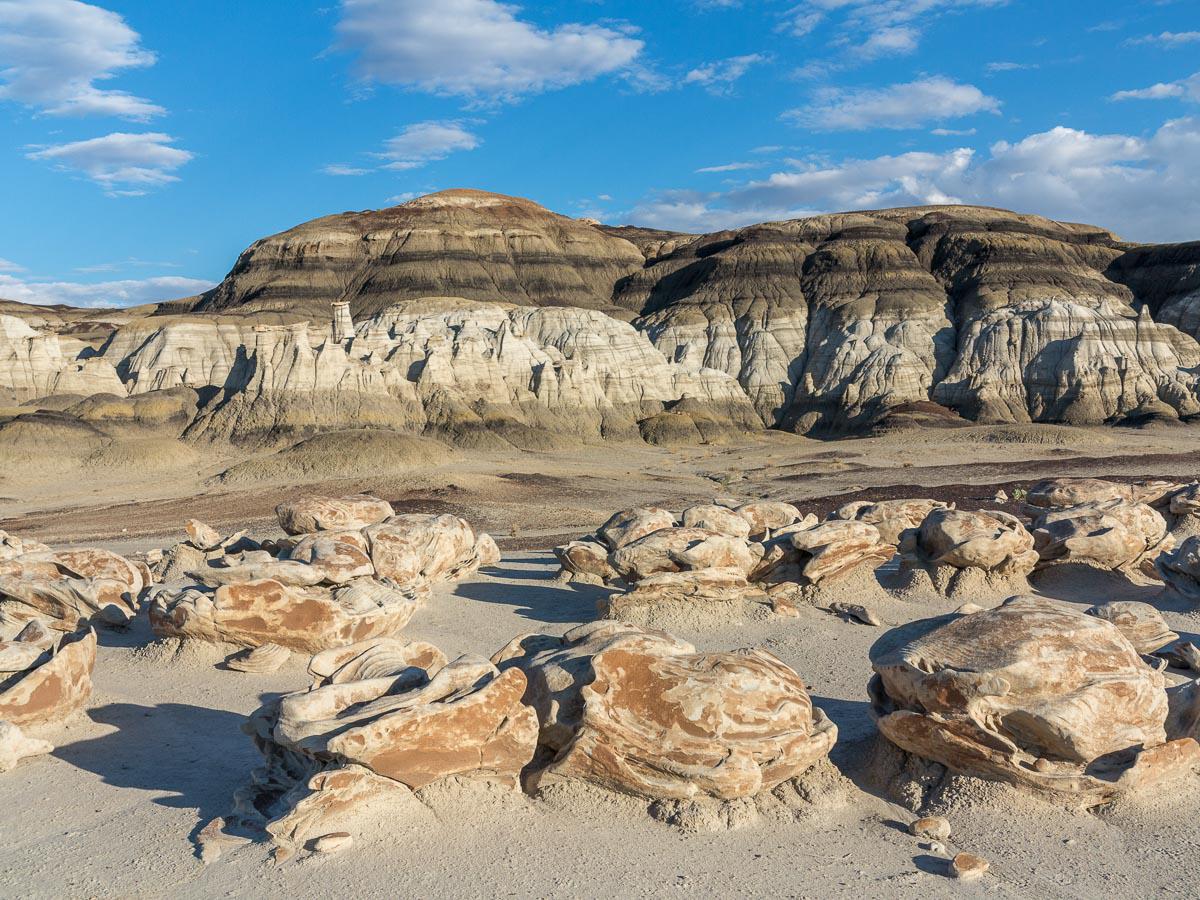 Bisti/De-Na-Zin Wilderness Area SVL