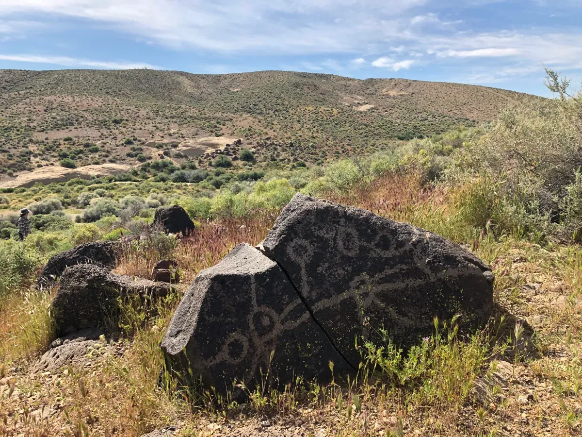 Petroglyph National Monument SVL