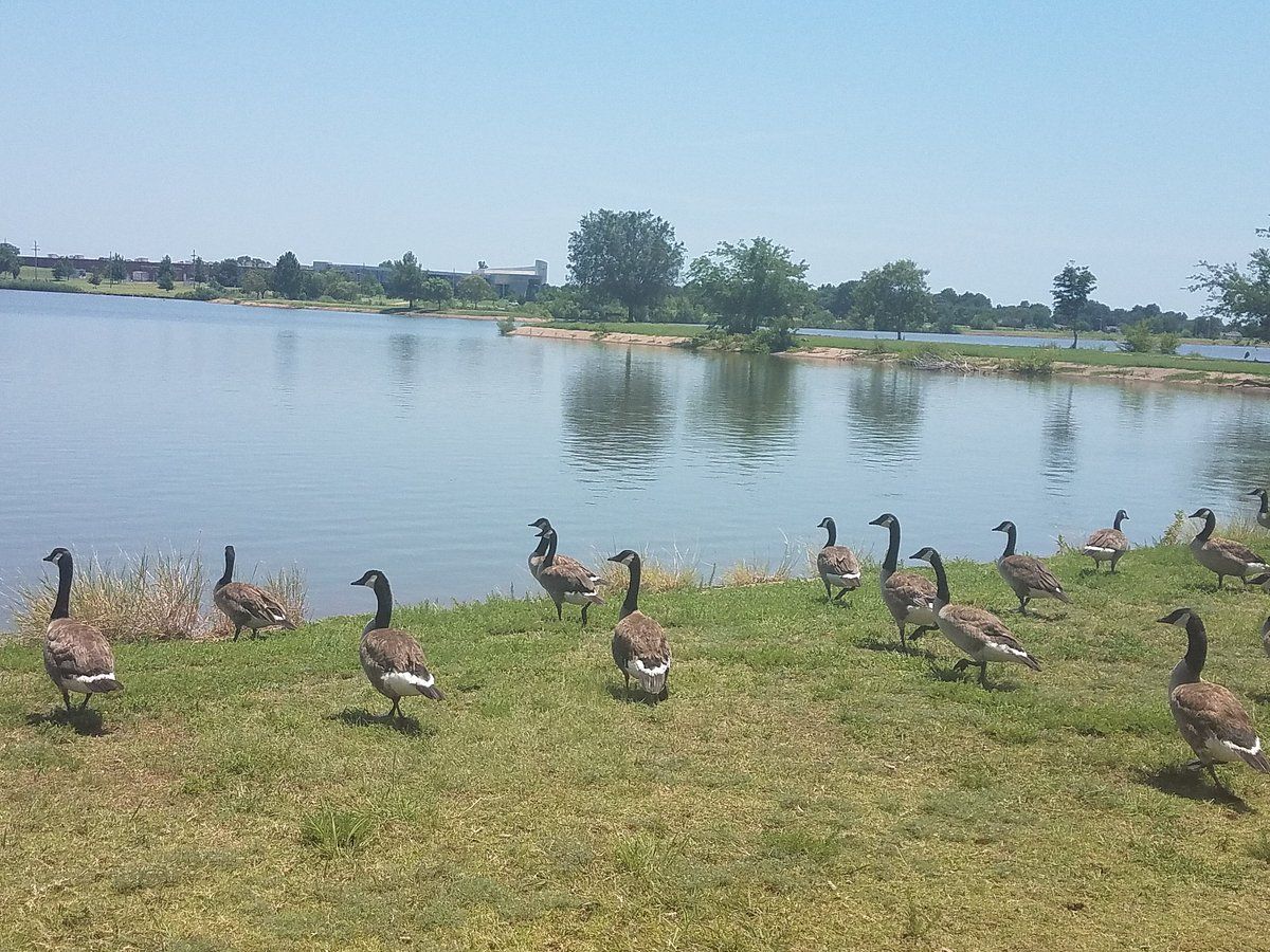 Boomer Lake Park SVL