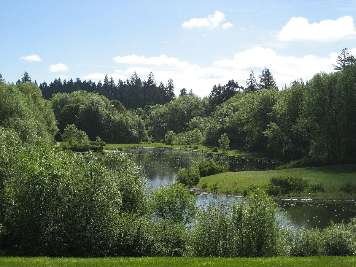 Rood Bridge Park SVL