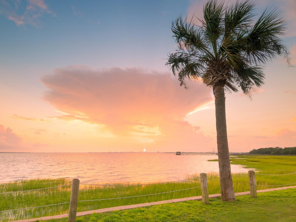 The Best Neighborhoods in Mount Pleasant SVL