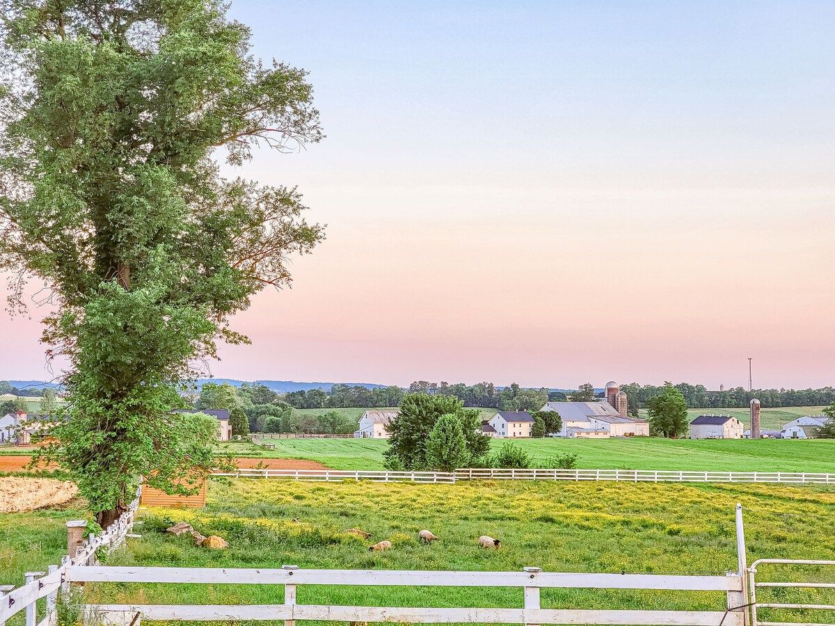 Countryside Vineyard Retreat SVL