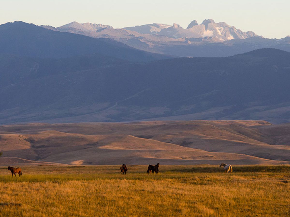 Bighorn Mountains Exploration SVL