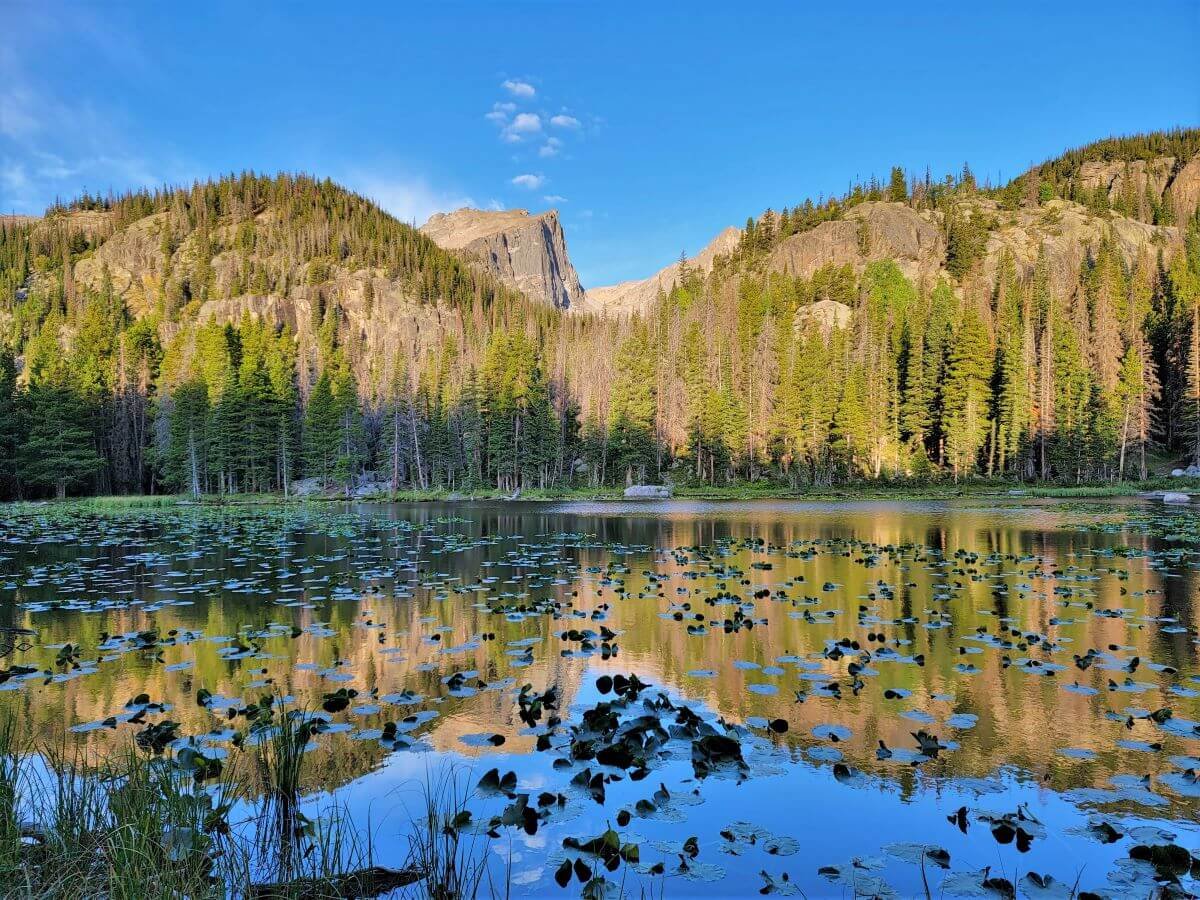 Expedition Island Park Escape SVL