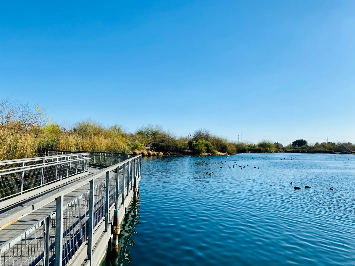 Riparian Preserve at Water Ranch SVL