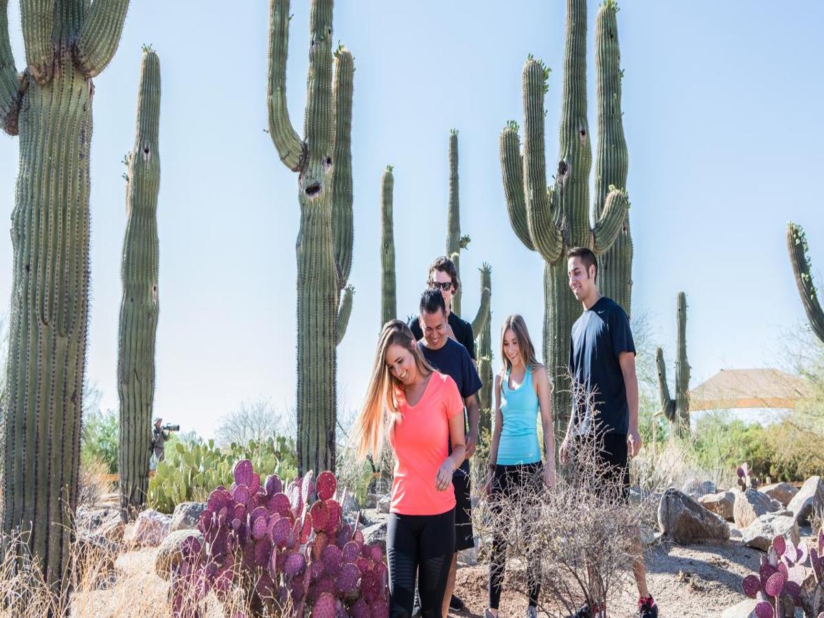 Movers in Gilbert, AZ