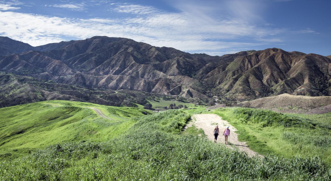 Movers in Santa Clarita, CA