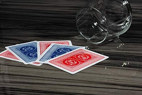 Vue 4 de Poker Night Pro Jeux