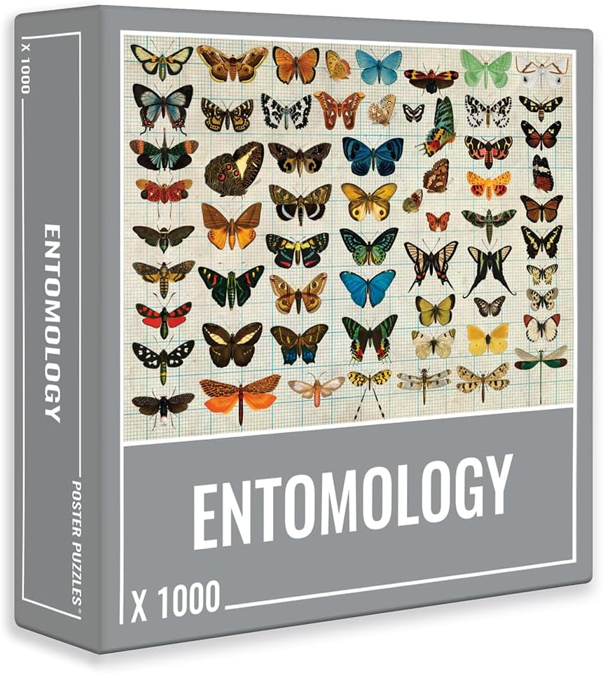 Vue 1 de Cloudberries Puzzle Dentomologie Pieces