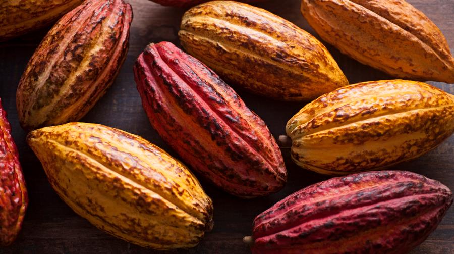 Cacao