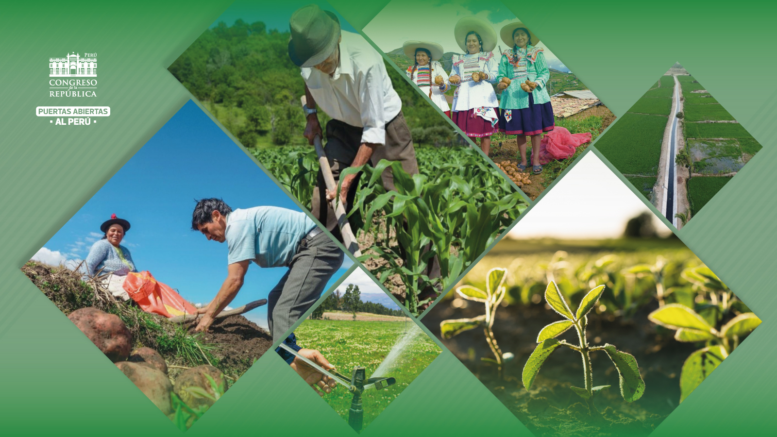 Agricultor 1