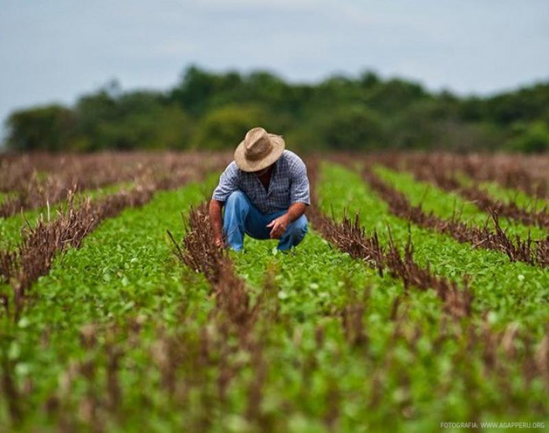 Agricultor 2