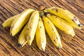 Plátano de isla