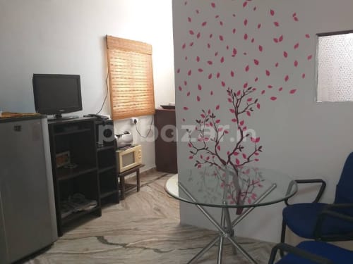 MR Singh Girls PG in Sector 43, Gurugram — photo 5
