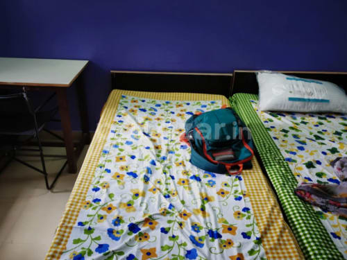 Ayush home PG in Sector 126, Noida — photo 2