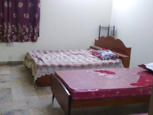 Back Home PG in Sector 126, Noida — photo 2