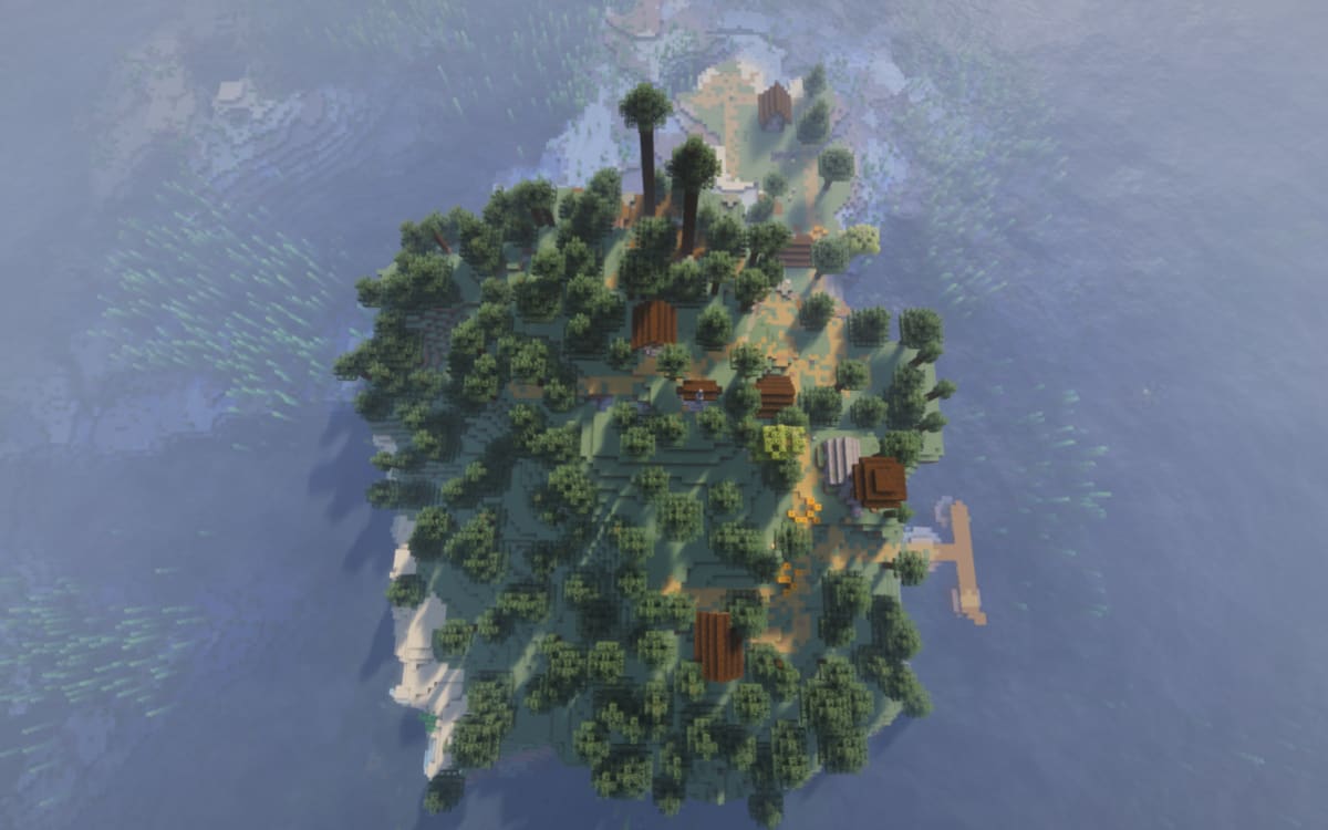 Ocean Taiga Village Island Minecraft seed screenshot