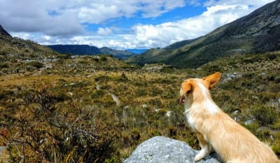 Plan Terrestre desde Bogotá al Nevado del Cocuy 4 Días 3 Noches de Aventura Total 🎒🌲 en El Cocuy, Boyacá – foto 5