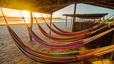 Guajira Plan Terrestre desde Bogotá 8 días 7 noches en Riohacha, Guajira – foto 4