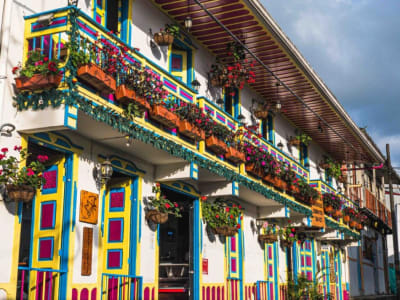 Quindío y Medellín desde Bogotá Terrestre Plan 5 días 4 noches en Medellín, Antioquia – foto 6