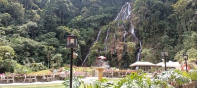 Quindío y Medellín desde Bogotá Terrestre Plan 5 días 4 noches en Medellín, Antioquia – foto 7