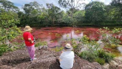 Caño Cristales plan 3 días 2 noches desde Medellín en La Macarena, Meta – foto 2