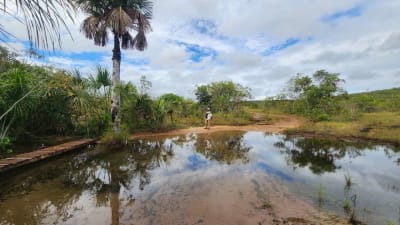 Caño Cristales plan 3 días 2 noches desde Medellín en La Macarena, Meta – foto 3