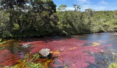 Caño Cristales plan 3 días 2 noches desde Medellín en La Macarena, Meta – foto 5