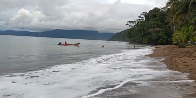 Bahía Solano Temporada de Ballenas desde Bogotá 5 Días 4 Noches en Bahía Solano, Chocó – foto 3