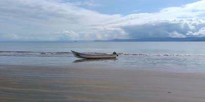 Bahía Solano Temporada de Ballenas desde Bogotá 5 Días 4 Noches en Bahía Solano, Chocó – foto 4